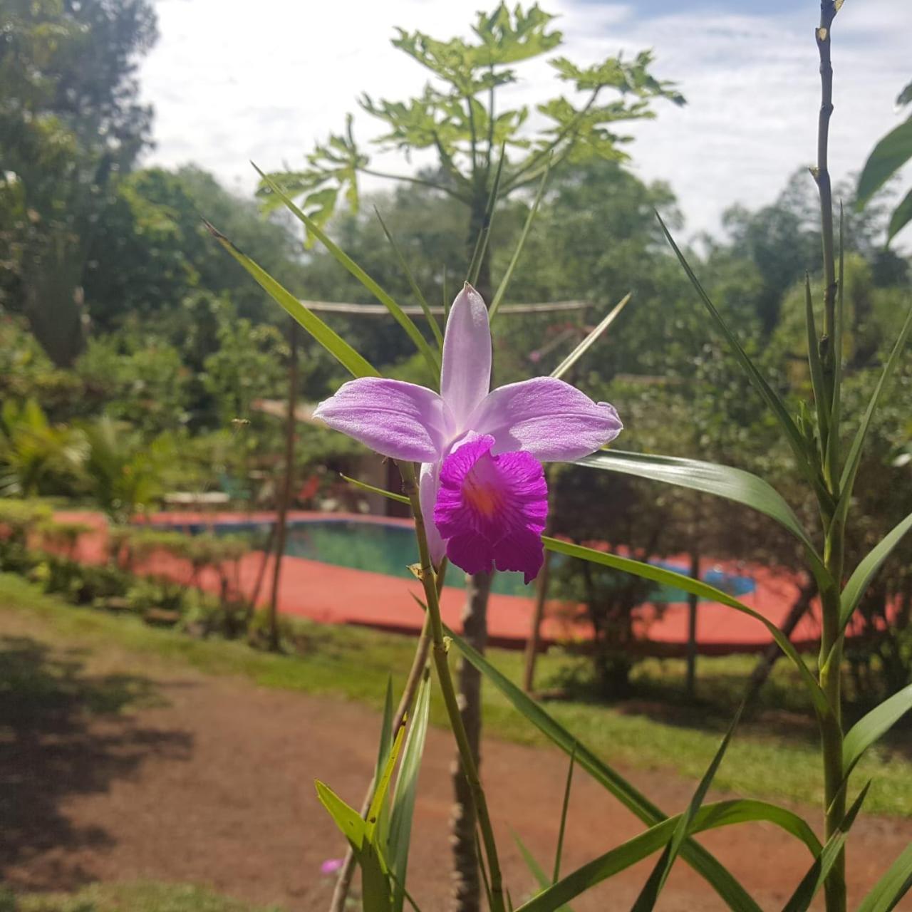 Hotel Y Residencial Amigos Puerto Iguazú Kültér fotó