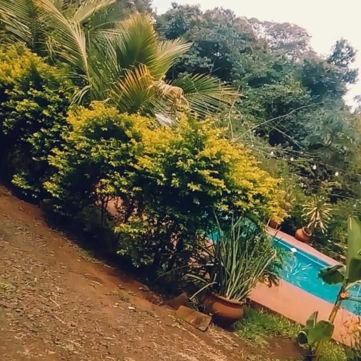 Hotel Y Residencial Amigos Puerto Iguazú Kültér fotó
